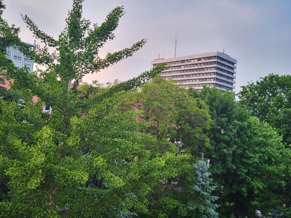 Апартаменты Privatzimmer An Der Uniklinik Mainz - Nur Fuer Weibliche Gaeste Экстерьер фото